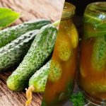 Cómo cerrar pepinos en salsa de tomate con chile para el invierno: 3 recetas inigables Cómo cerrar pepinos en salsa de tomate con chile para